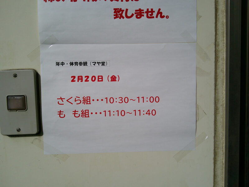 年中　体育参観